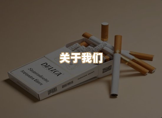 关于蓝帝网